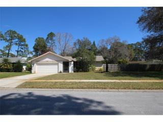 3598 Fairway Forest Dr, Palm Harbor FL  34685-1005 exterior
