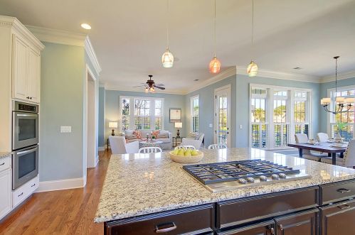 1154 Ayers Plantation Way, Mount Pleasant SC  29466-8588 exterior