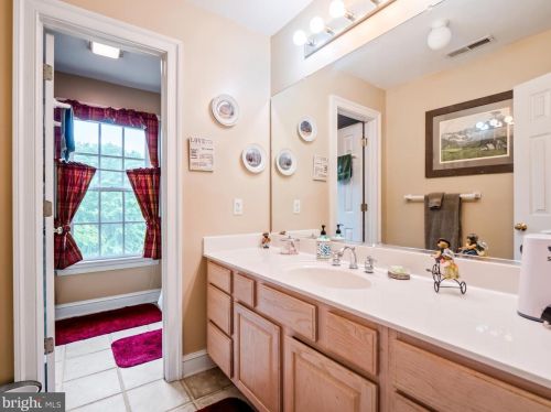 17238 Cherwood Pond Ln, Owens VA  22485-2616 exterior