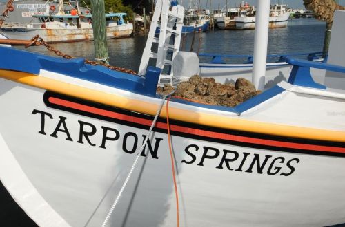 581 Dixie Hwy, Tarpon Springs FL  34689-5718 exterior