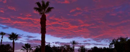 36422 Sandsal Cir, Rancho Mirage CA  92270-1916 exterior