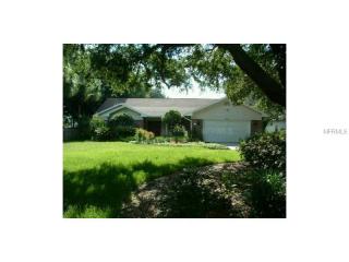 16011 Armistead Ln, Odessa, FL 33556-3305