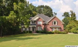 104 River Song Ct, Huntsville, AL 35811-8444