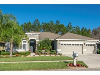 1610 Beaconsfield Dr, Zephyrhills, FL 33543-8161
