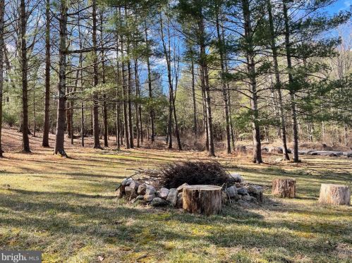 229 Wildlife Dr, Lost City WV  26810-8431 exterior
