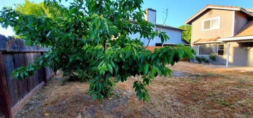 2417 Orchard Park Way, Modesto CA  95355-9254 exterior