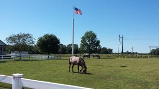 184 Jimmy Tate Williams Rd, Beulaville, NC 28518-6777