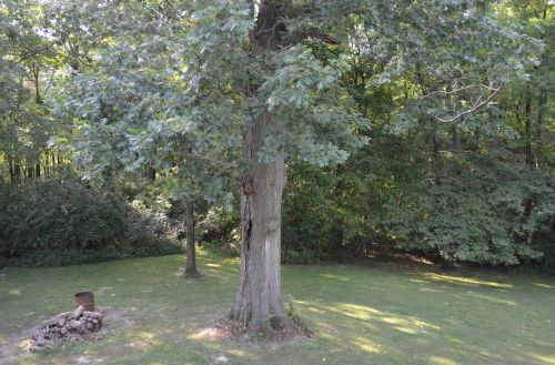 640 Carrie Ln, South Lebanon OH  45065-1150 exterior