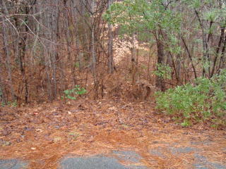 27 Wharton Cir, Littleton, NC 27850-9469