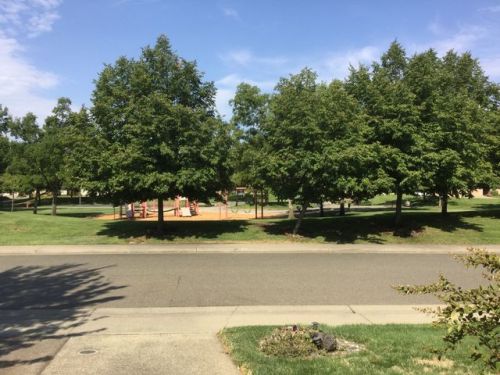 123 Tetworth Way, Folsom, CA 95630-8674
