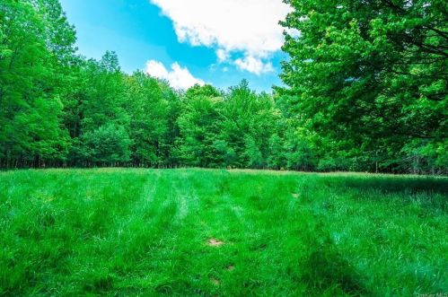 70 Muthig Rd, Hurleyville NY  12747-5056 exterior