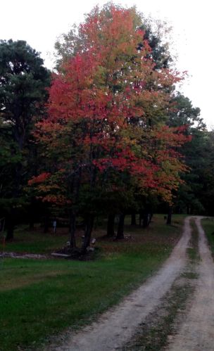 19207 Keifel Rd, Laurelville, OH 43135-9312