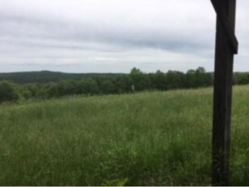 266 Lippa Rd, Harpursville, NY 13787-1207
