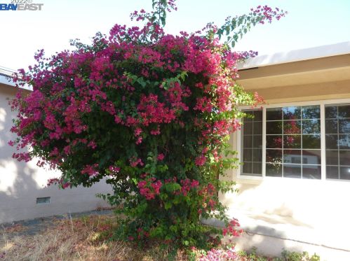 268 Royce Way, West Pittsburg CA  94565-4700 exterior