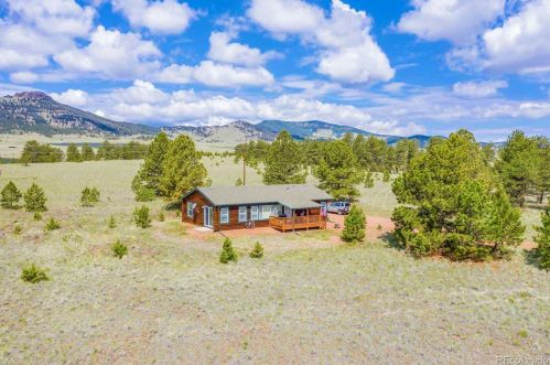 251 View Ln, Guffey, CO 80820-9667