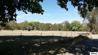 1300 Woody Ln, Hazen, NV 89408-9233