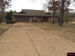 40 Sheffield Dr, Lakeview, AR 72642-9060