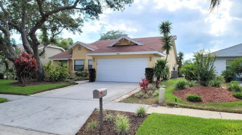4949 Harbor Woods Dr, Palm Harbor, FL 34683-1046