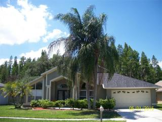 3910 Yellow Finch Ln, Lutz, FL 33558-2705