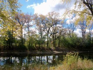 9917 River Rd, Thiensville, WI 53092-5229