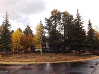 4962 Cardinal Ct, Pinetop, AZ 85935-7513