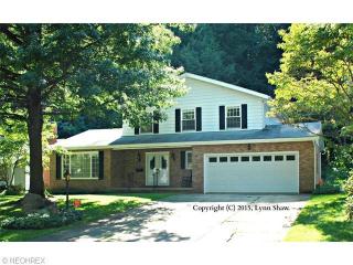 202 Lownsdale Ave, Akron, OH 44313-7221