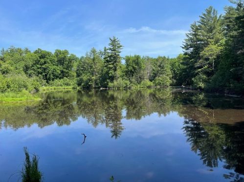 124 Bunting Ln, Merrillan, WI 54754-7947