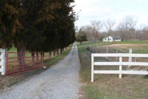 3026 Old Mill Rd, Brandenburg, KY 40108-6484
