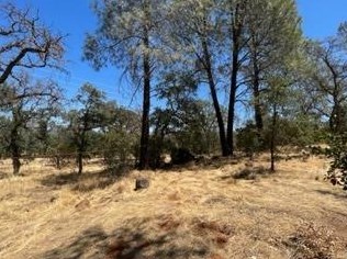 6321 Upper Palermo Rd, Oroville CA  95966-9017 exterior