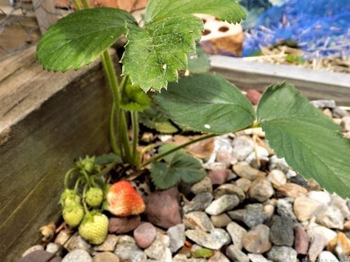 282 Hayden Sta Rd, Windsor CT 06095-1407 exterior