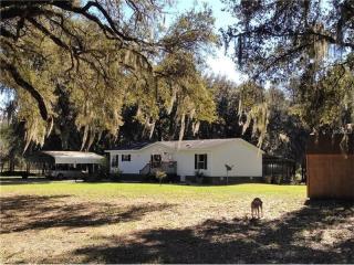 15308 County Road 450, Umatilla, FL 32784-8177