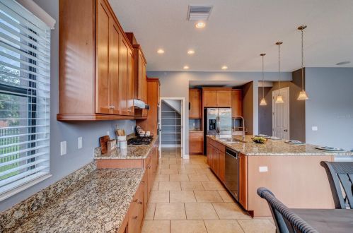 8239 Swiss Chard Cir, Land O Lakes FL  34637-7662 exterior