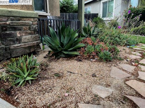 1175 Lucio St, Manteca CA  95336 exterior