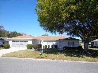 9775 175th St, Summerfield, FL 34491-8939