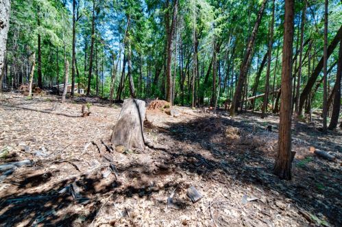 5043 Virginia Bird Mine Ct, Michigan Bluff CA  95631-9733 exterior