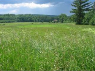 71 Goose Ln, Bath, NH 03740-4602