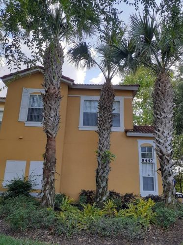 8447 Crystal Cove Loop, Kissimmee, FL 34747-3009