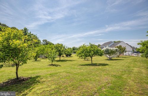 8574 Gray Fox Ln, Owens VA  22485-3572 exterior