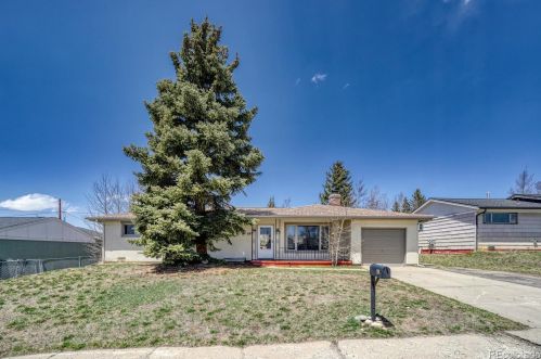 309 Mount Harvard Dr, Leadville, CO 80461-3438