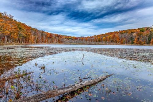 90-100 Little Pond Rd, Patterson, NY 12563-2100
