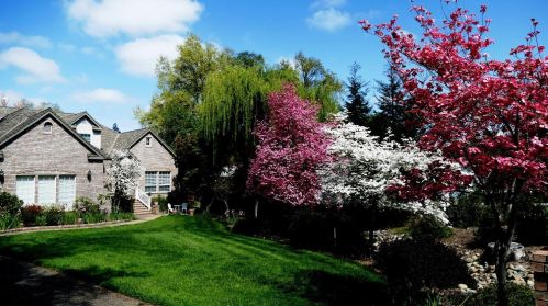 12108 Lake Wildwood Dr, Lake Wildwood CA  95946-9451 exterior