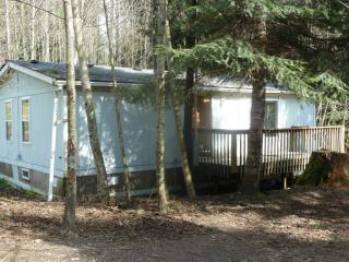 55206 313th Ave, Ashford, WA 98304-9768