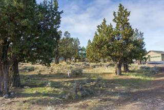222 Highland Meadow Loop, Eagle Crest, OR 97756-7409