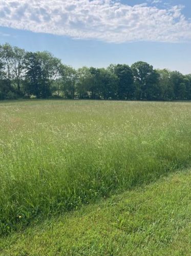 13792 Cooperrider Rd, Glenford, OH 43739-9617