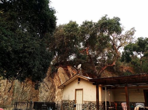 46325 Arroyo Seco Rd, Greenfield, CA 93927-9731