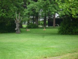 48 Clemson Park, Middletown, NY 10940-5447