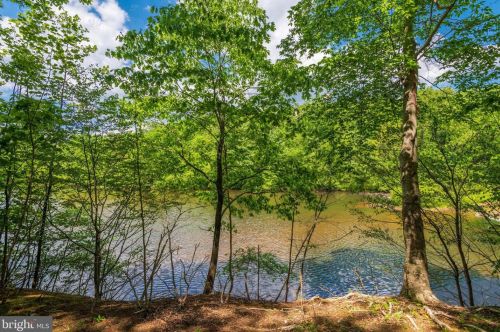 12132 Holly Knoll Cir, Great Falls, VA 22066-1225