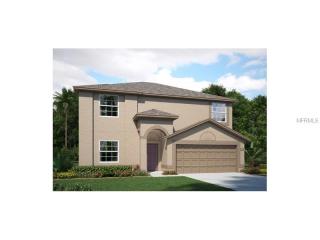 15412 Dakota Sky Pl, Ruskin, FL 33573-0192