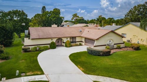 3362 Pattie Pl, Palm Harbor, FL 34685-2114