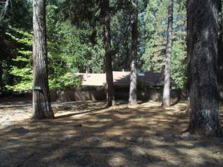16615 Cedar Heights Dr, Pioneer, CA 95666-8801